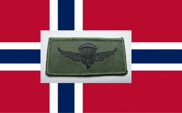 Fallschirmspringerabzeichen norwegen automat